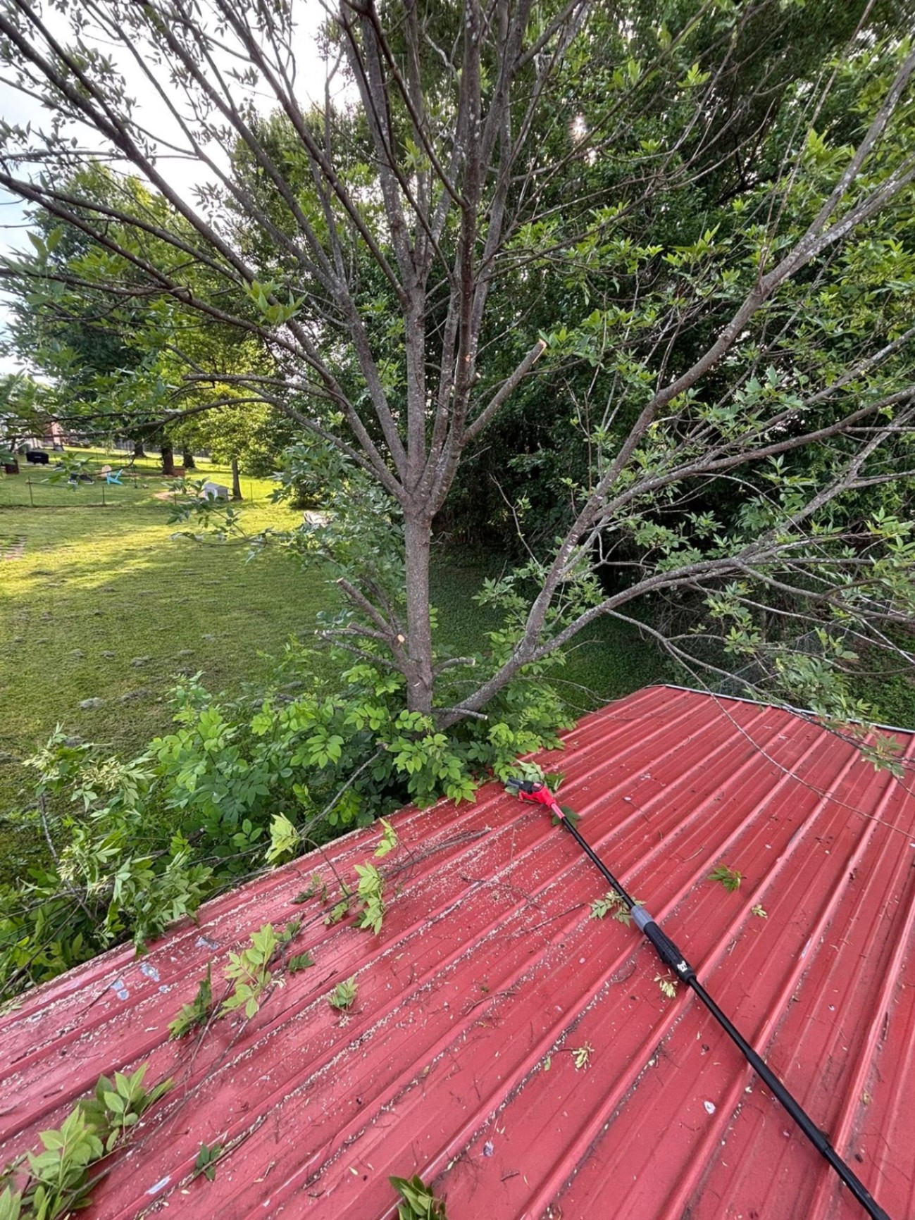 Small Land Clearing — Hurst Junk Removal, Bardstown KY